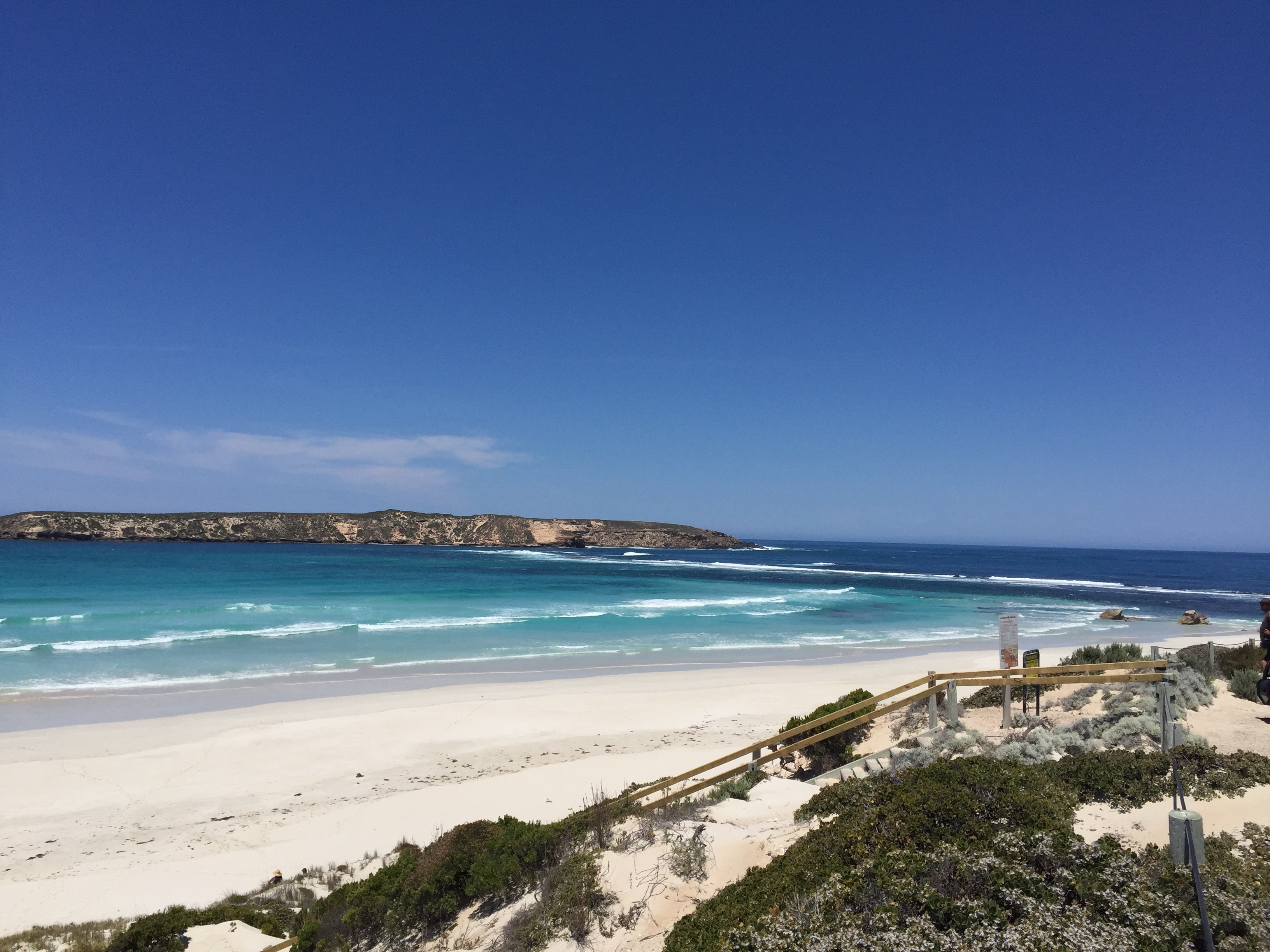 5 treasures of Coffin Bay National Park