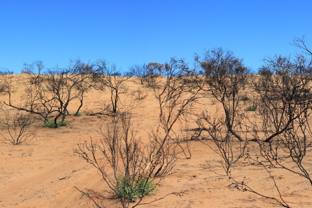 Top tips for four-wheel-driving on South Australia’s famous Googs Track