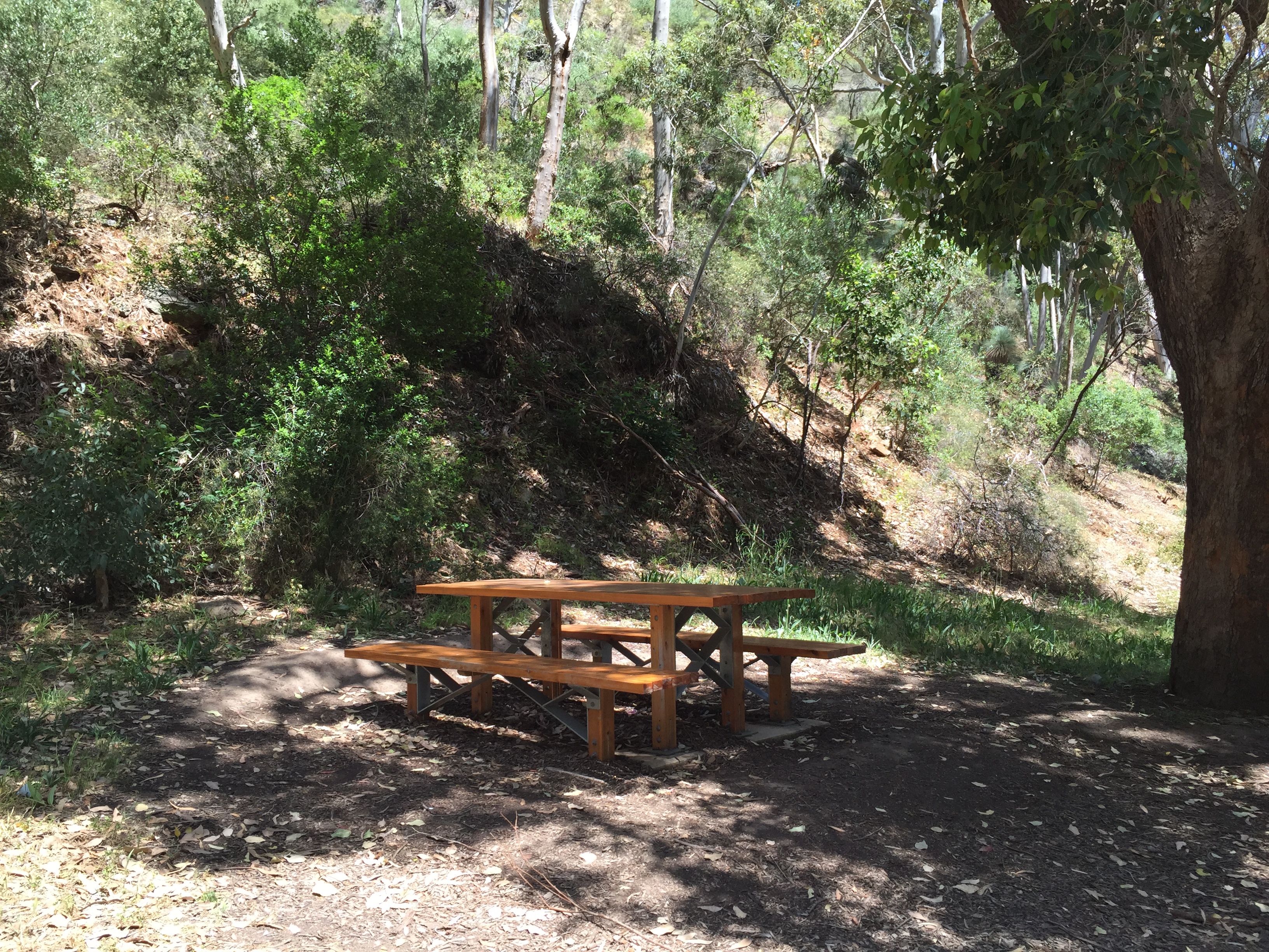 5 hidden treasures at Morialta Conservation Park