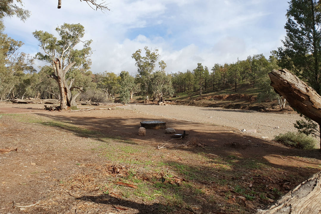 How to spend a few days in Ikara-Flinders Ranges National Park