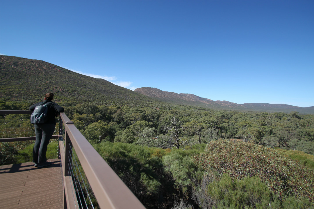 How to spend a few days in Ikara-Flinders Ranges National Park