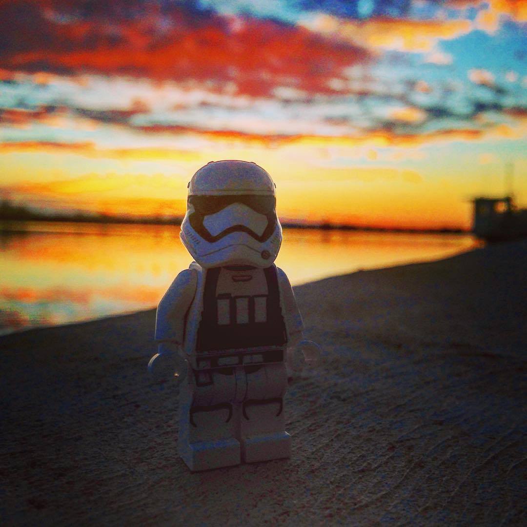 May the fourth be with you in nature