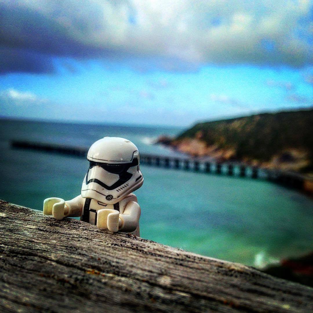 May the fourth be with you in nature