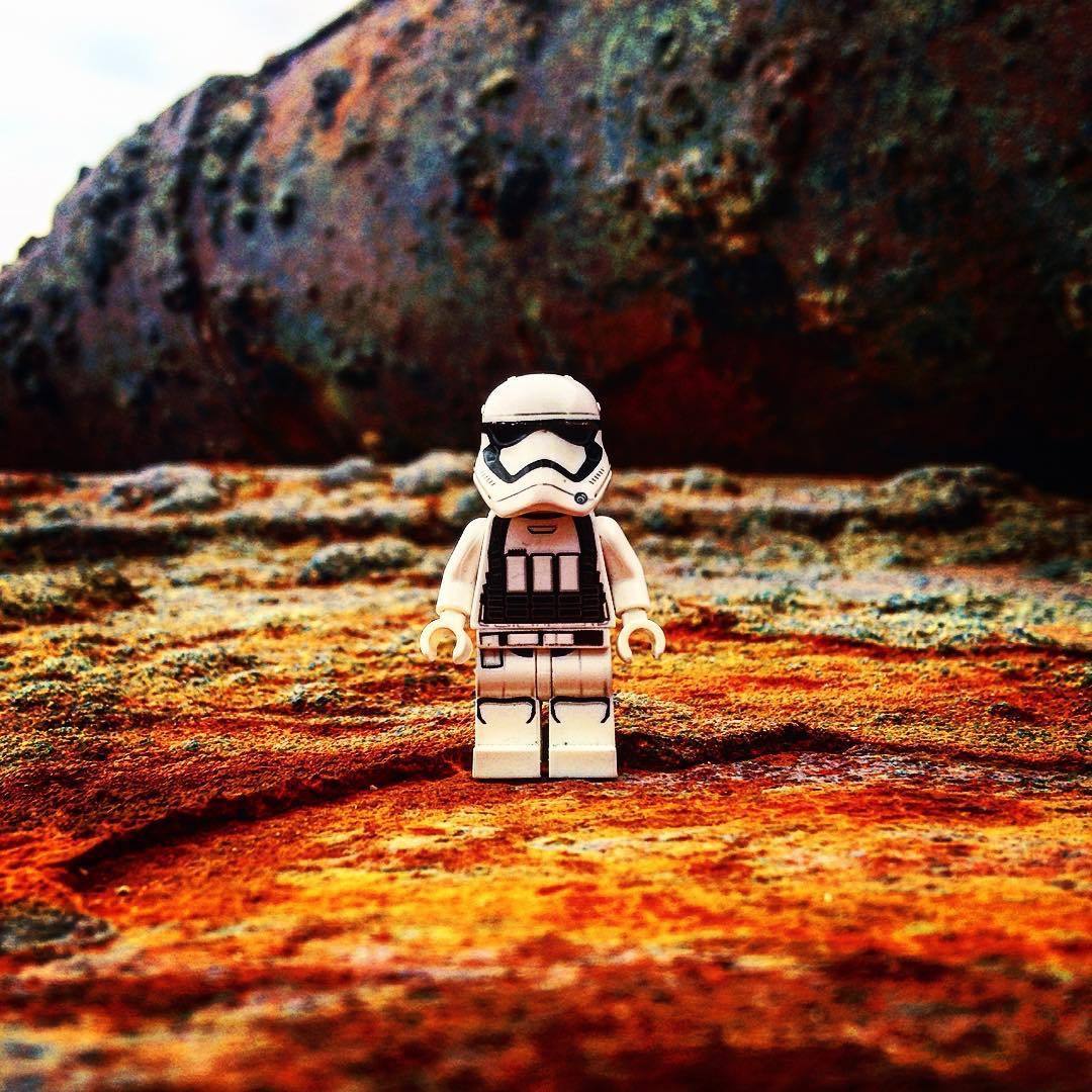 May the fourth be with you in nature