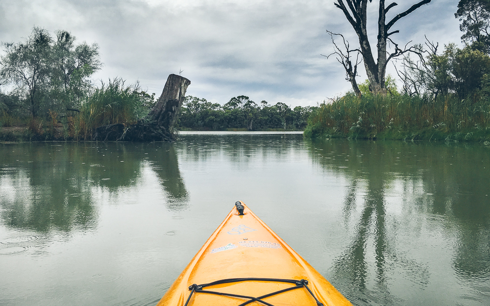 5 treasures in Murray River National Park