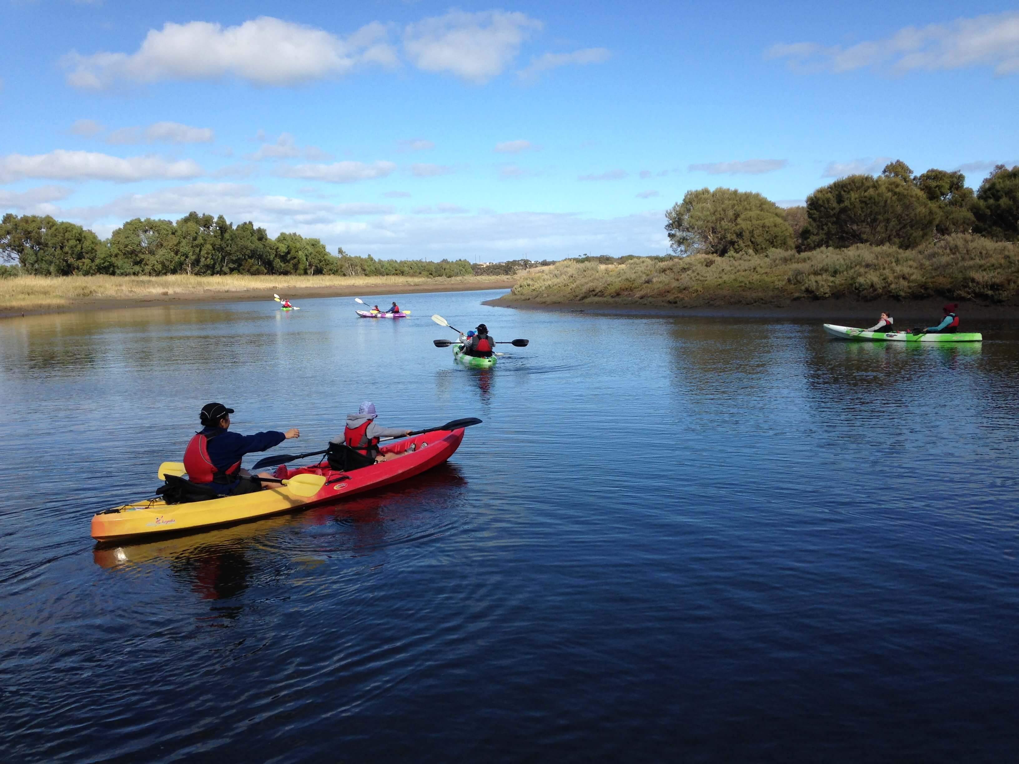 5 treasures in Onkaparinga River parks