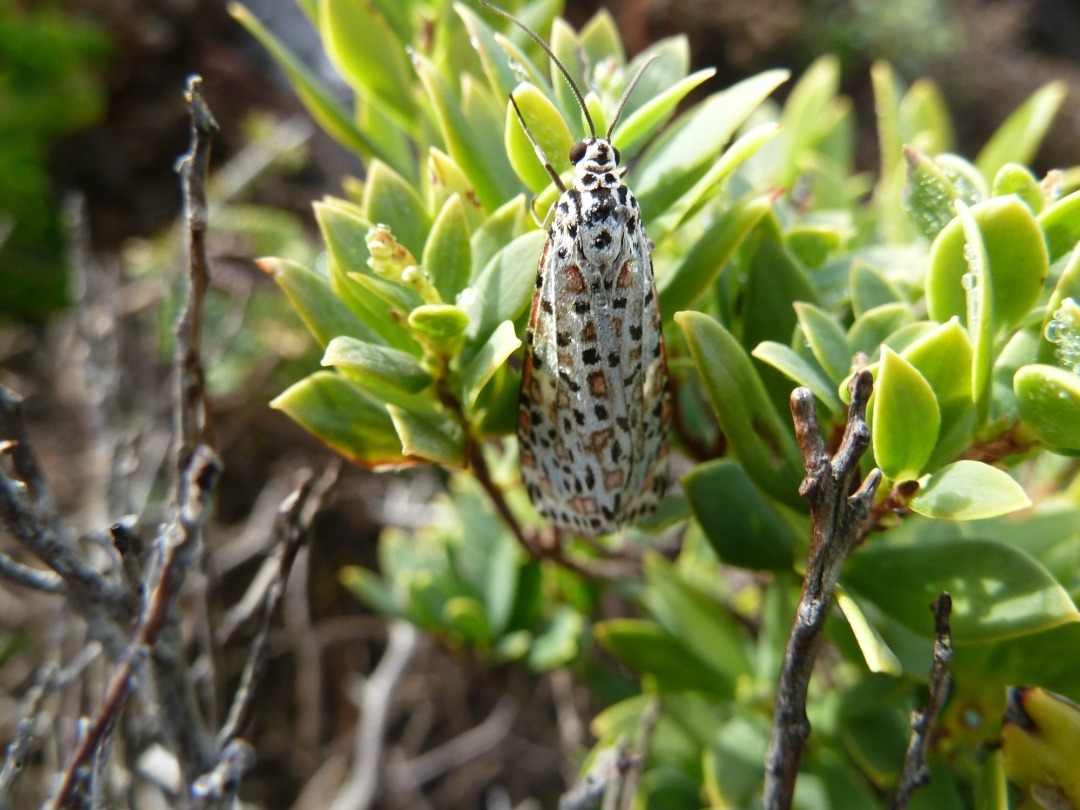 10 things you might see on the KI Wilderness Trail