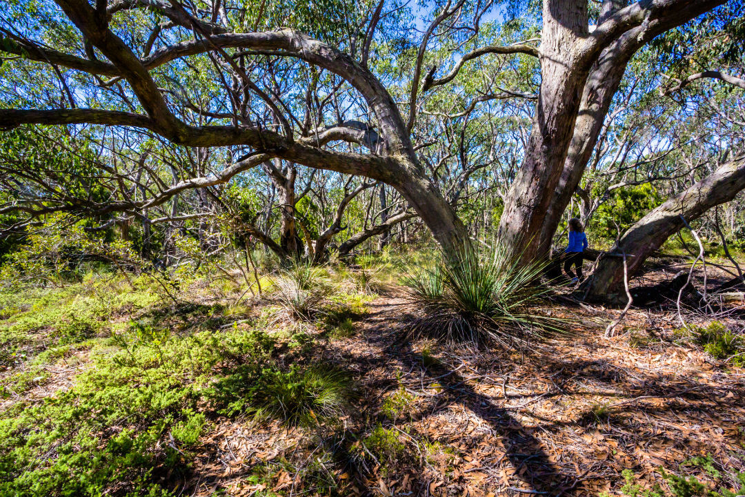 10 national parks near Adelaide you might not have heard of