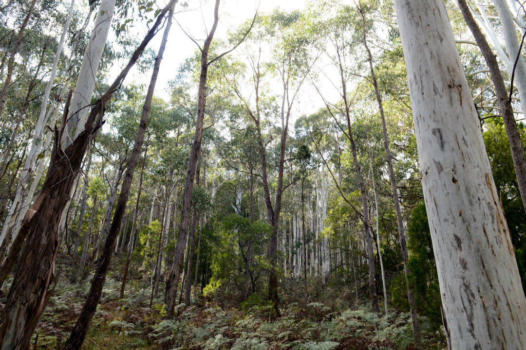 10 national parks near Adelaide you might not have heard of