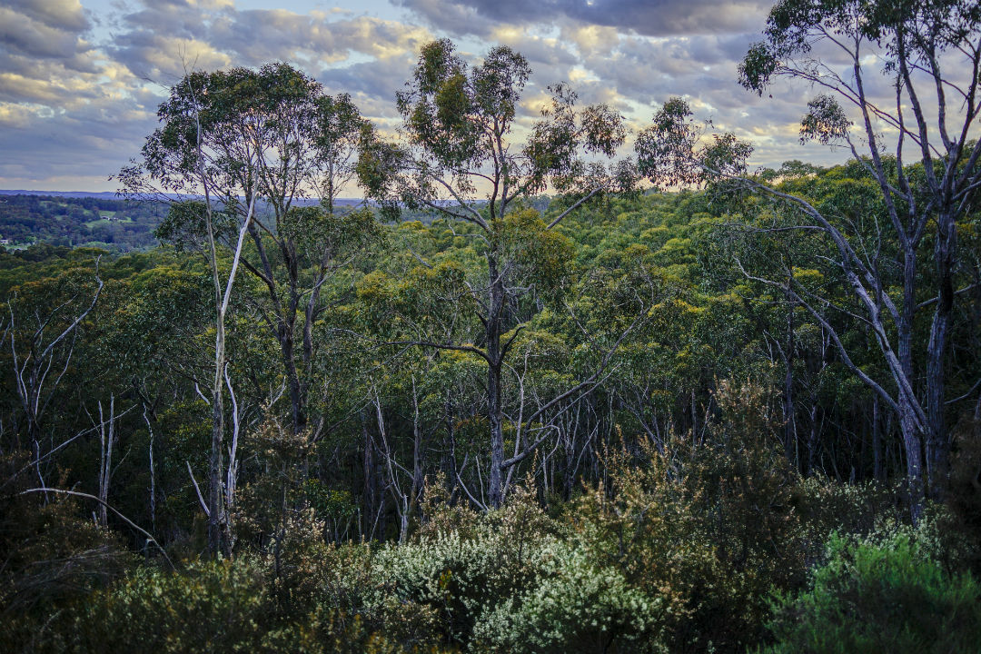 10 national parks near Adelaide you might not have heard of