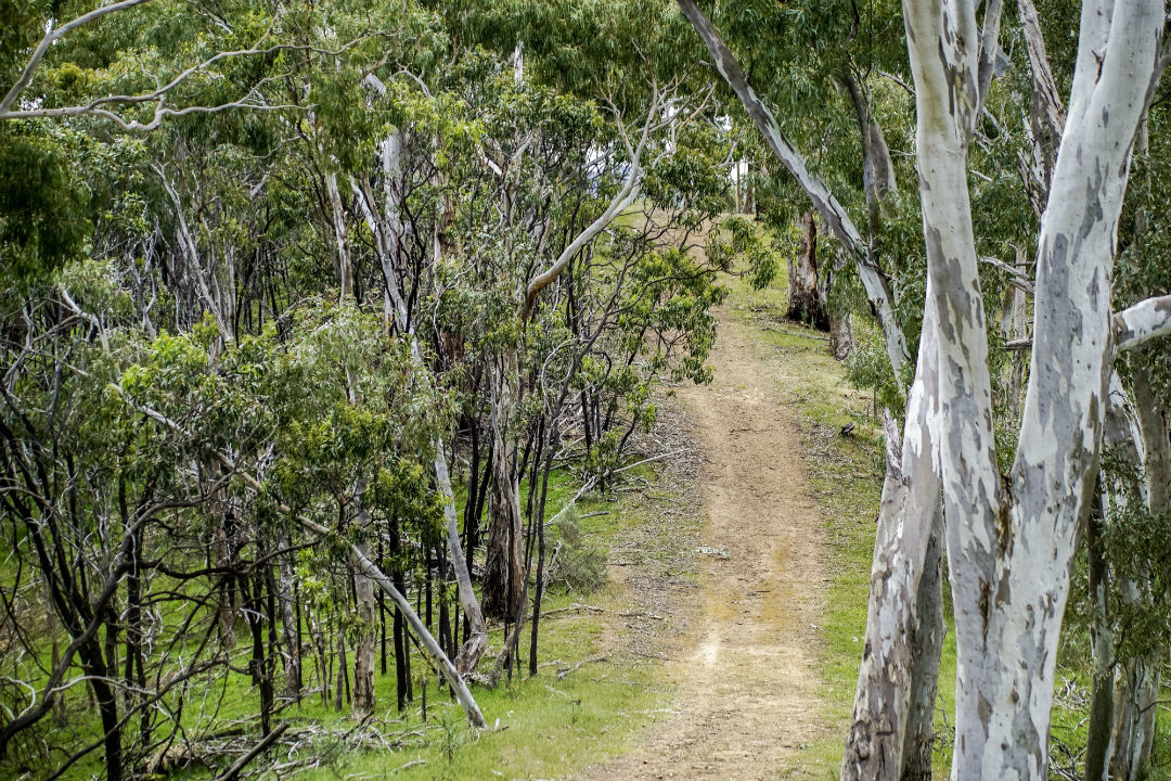 10 national parks near Adelaide you might not have heard of