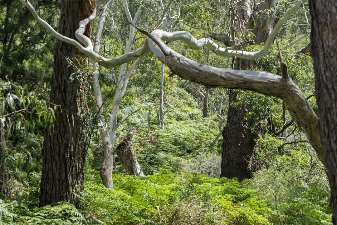 10 national parks near Adelaide you might not have heard of