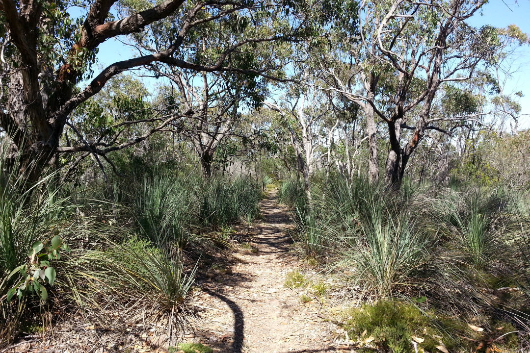 10 national parks near Adelaide you might not have heard of