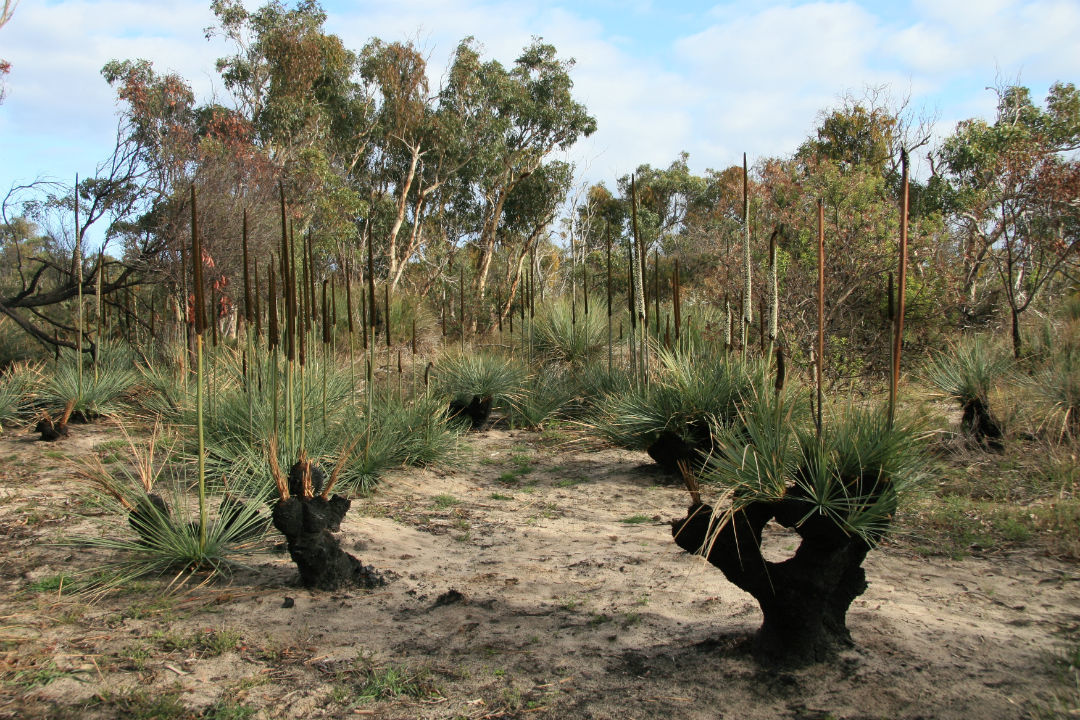 10 national parks near Adelaide you might not have heard of