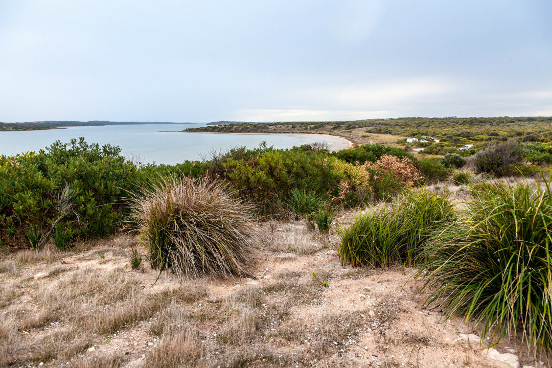 8 national parks to visit on South Australia’s Limestone Coast