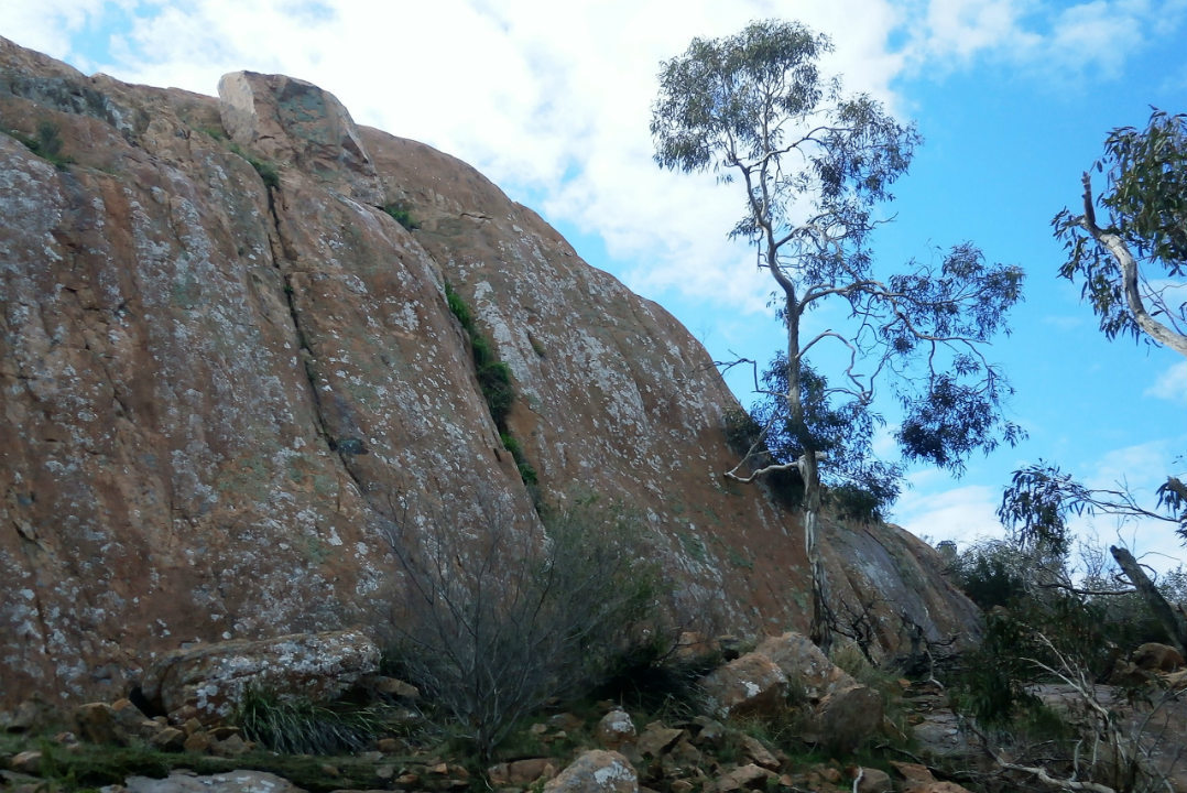 8 national parks to visit on South Australia’s Limestone Coast