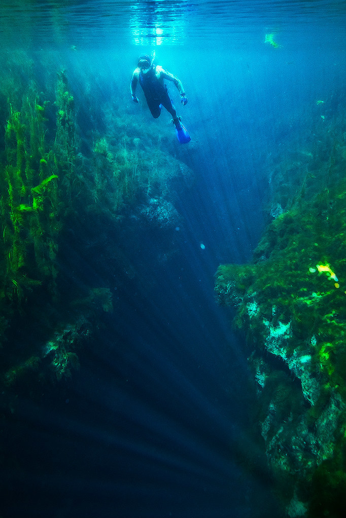 8 national parks to visit on South Australia’s Limestone Coast