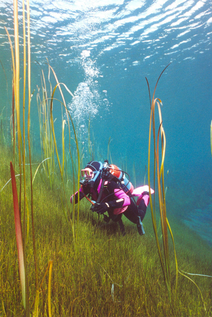 8 national parks to visit on South Australia’s Limestone Coast