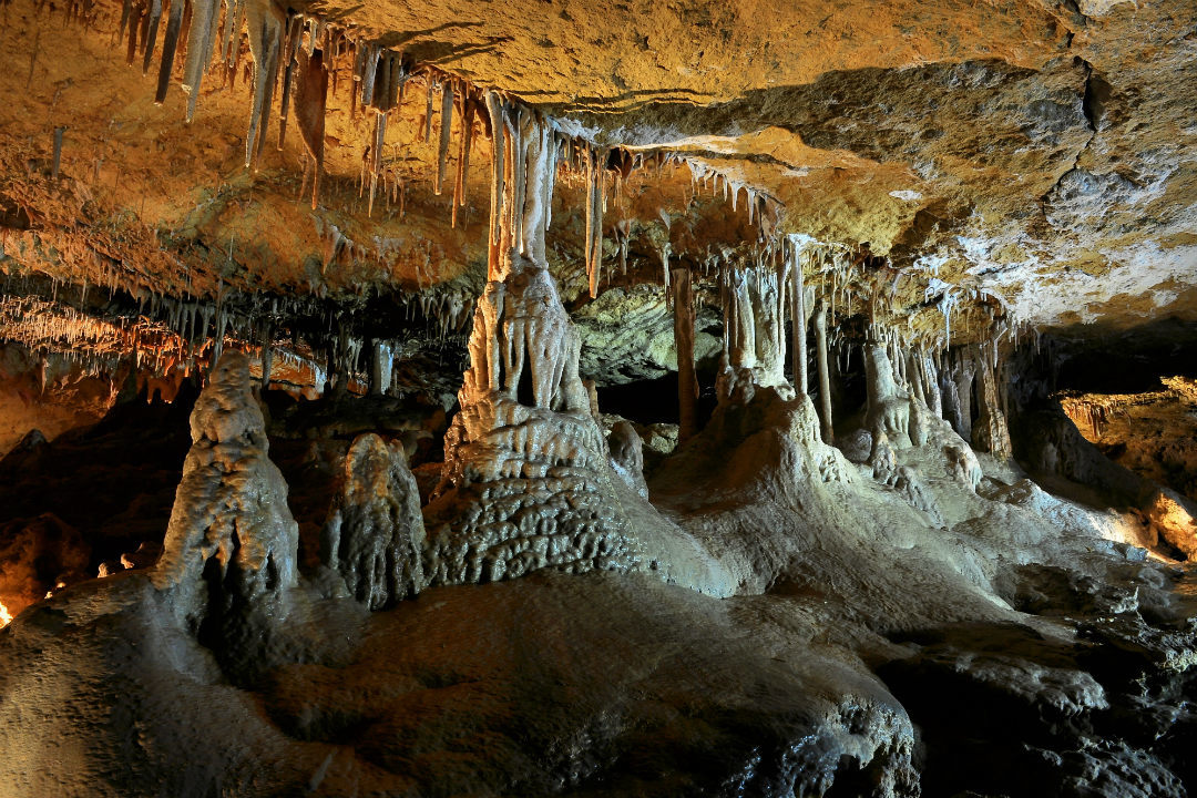 8 national parks to visit on South Australia’s Limestone Coast