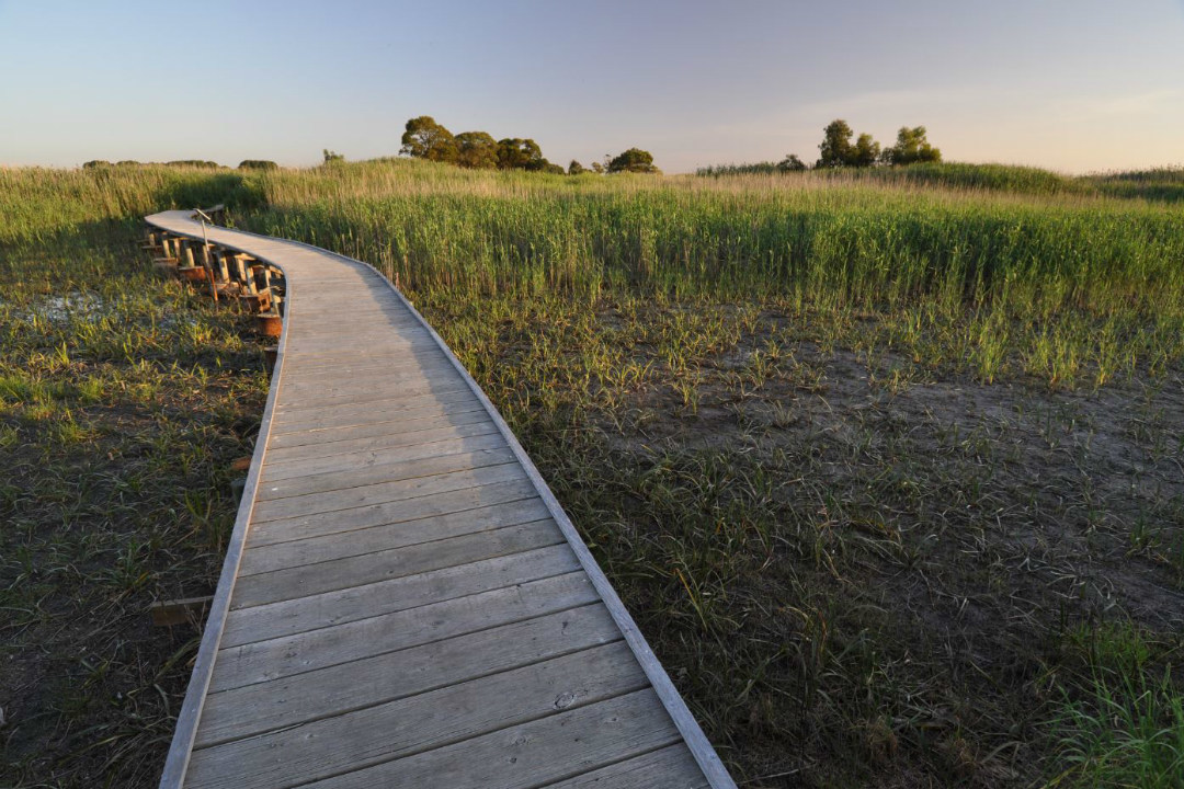 8 national parks to visit on South Australia’s Limestone Coast