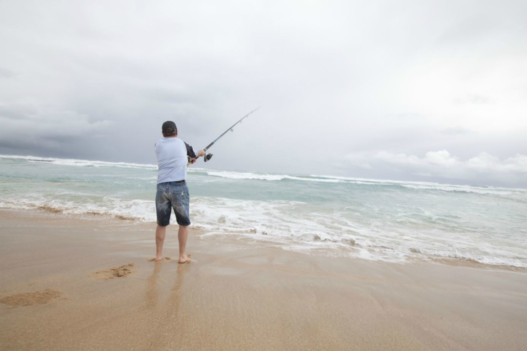 8 national parks to visit on South Australia’s Limestone Coast