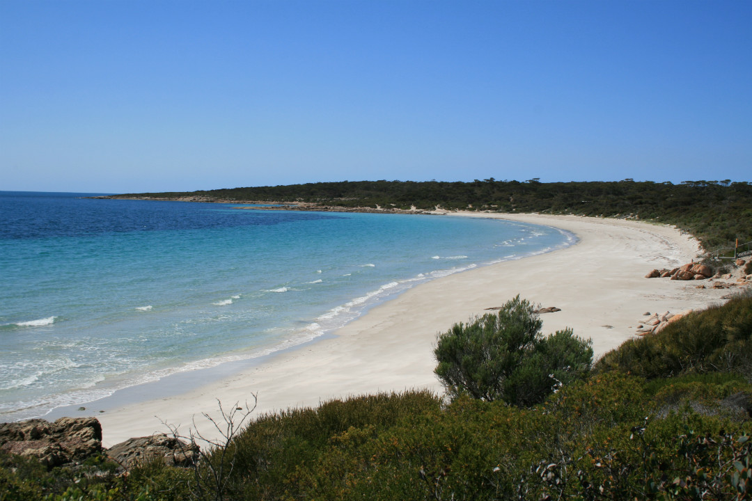 Discover South Australia’s best beaches this summer!