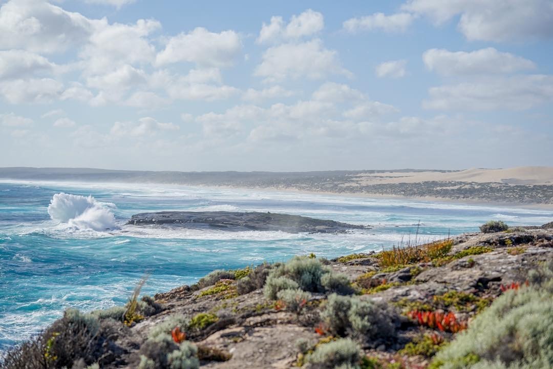 How to spend a day in SA’s Lincoln National Park