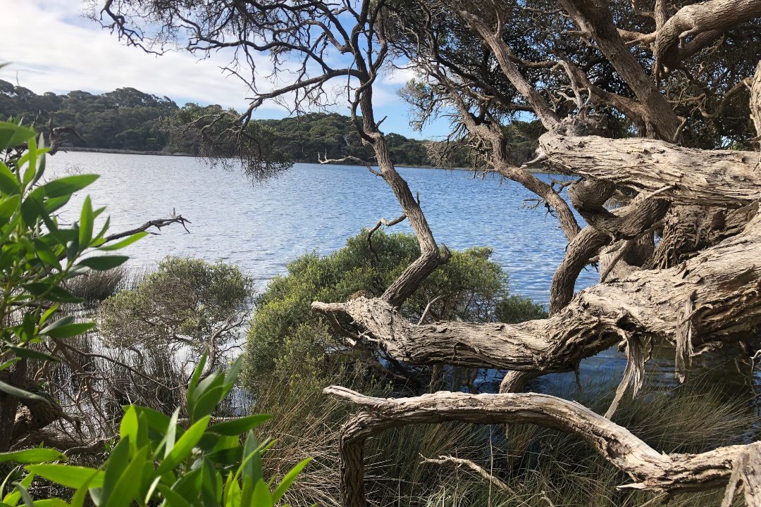 How to spend a day in Little Dip Conservation Park