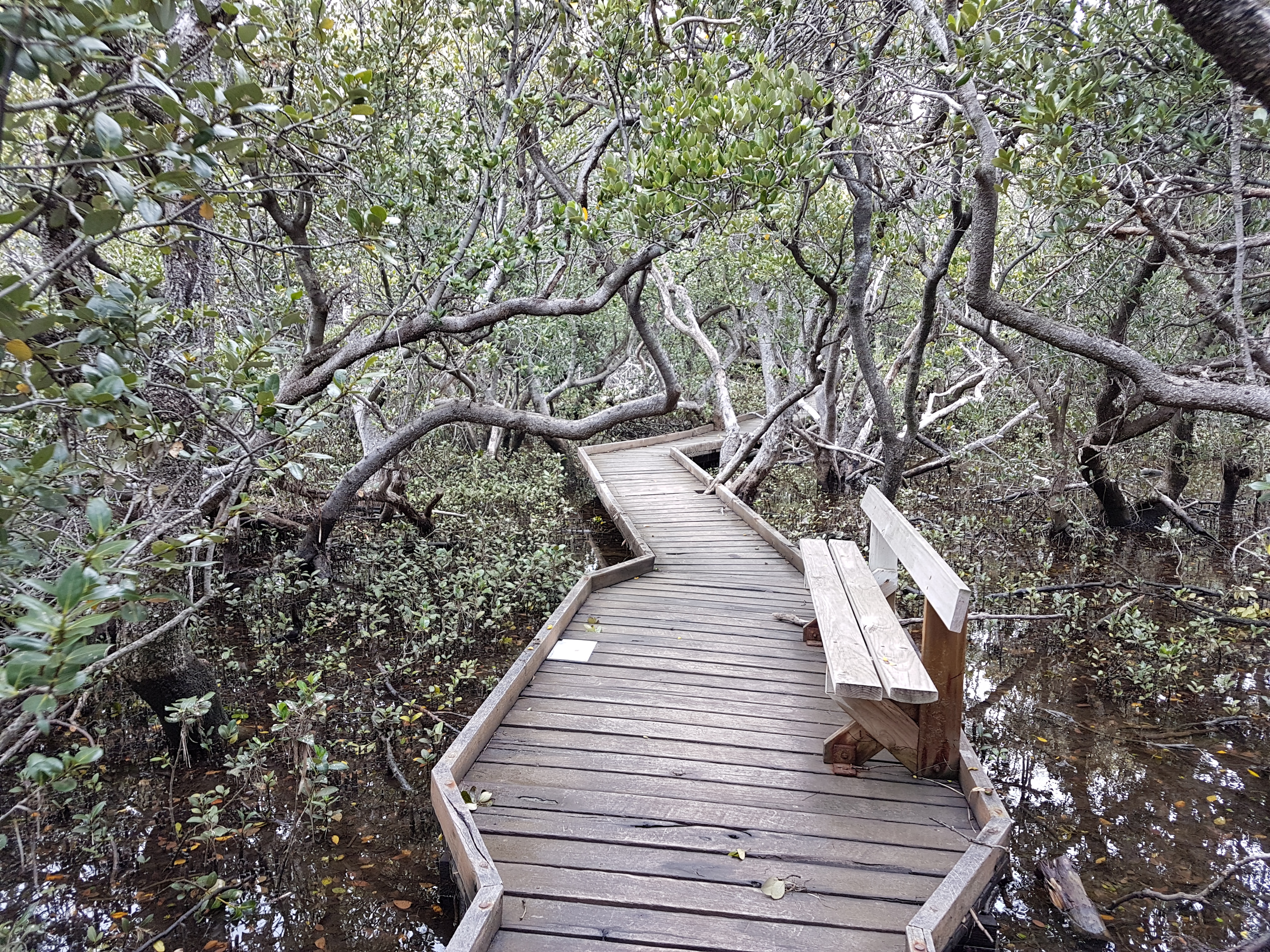 How to spend a day in Adelaide’s dolphin and bird sanctuaries