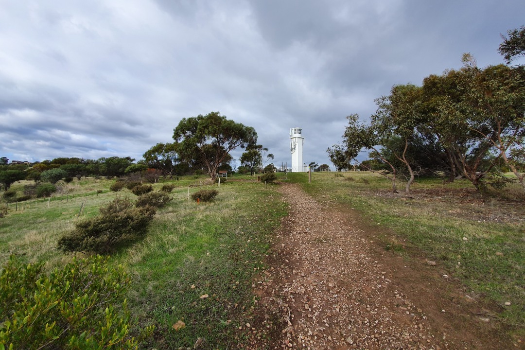 Take a walk in Marino Conservation Park: The Botanical Trail