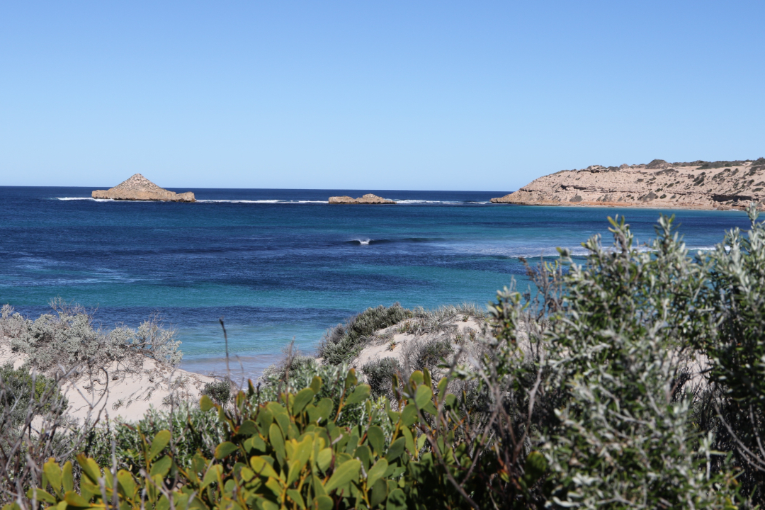 Where to go whale-watching on South Australia’s Eyre Peninsula