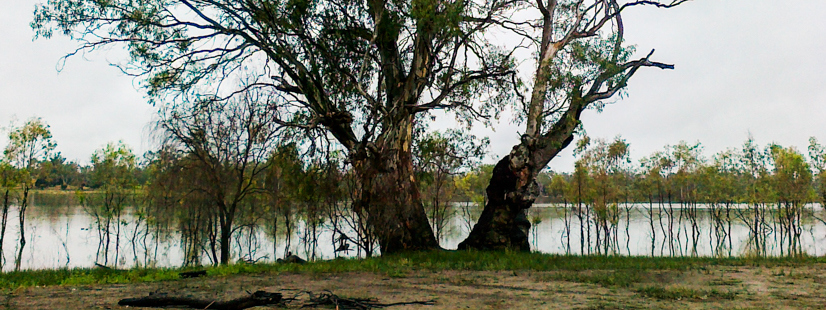 Lagoon at Morgan Conservation Park