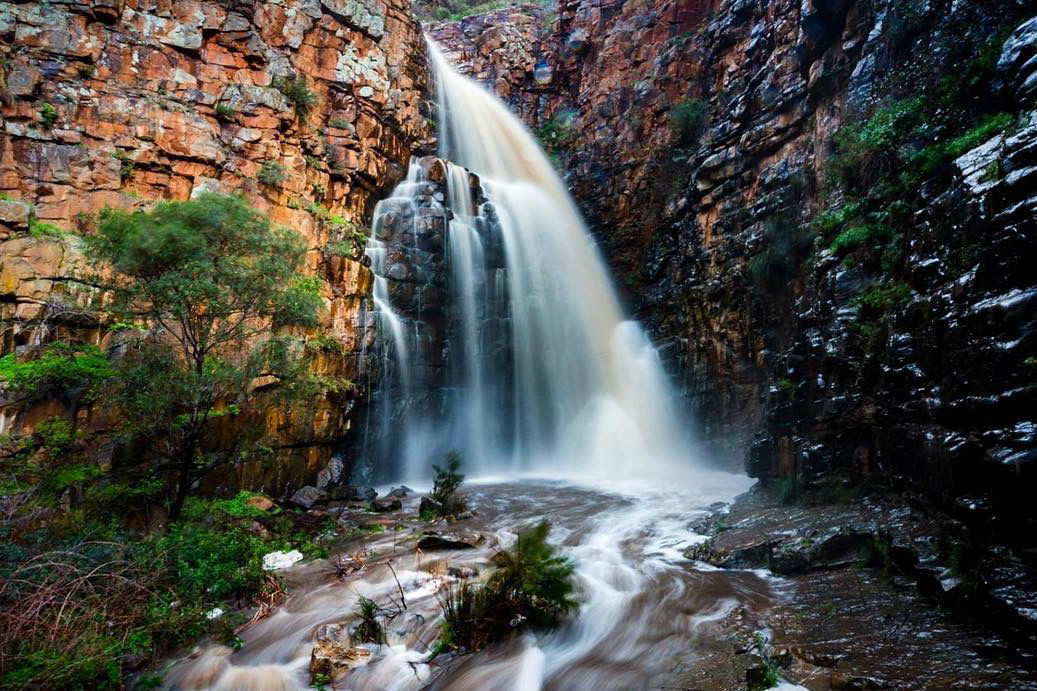 How to spend a day in South Australia’s Morialta and Black Hill Conservation Parks