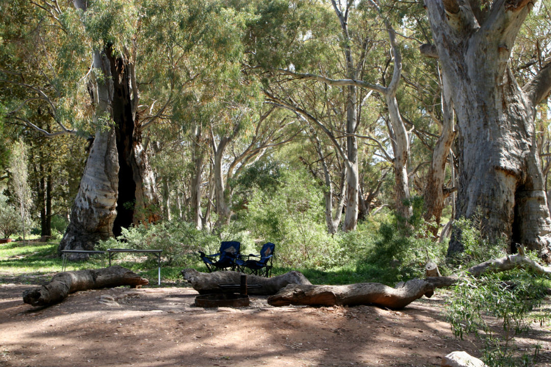 How to spend a day in South Australia’s Mount Remarkable National Park