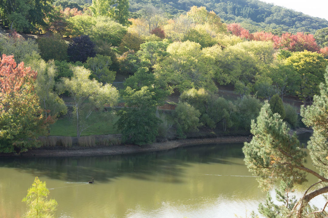 6 places to visit in and around Mount Lofty Summit