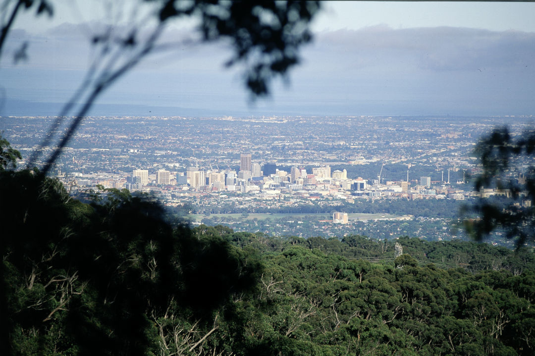 6 places to visit in and around Mount Lofty Summit