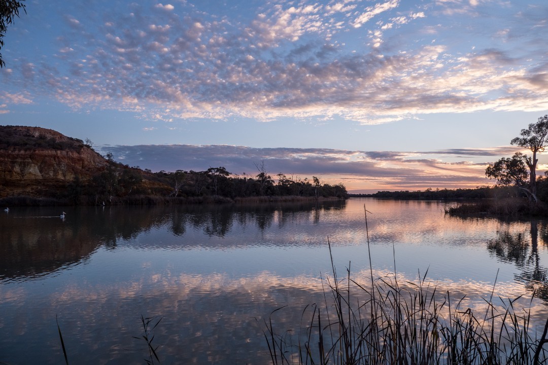 How to spend a day in Murray River National Park