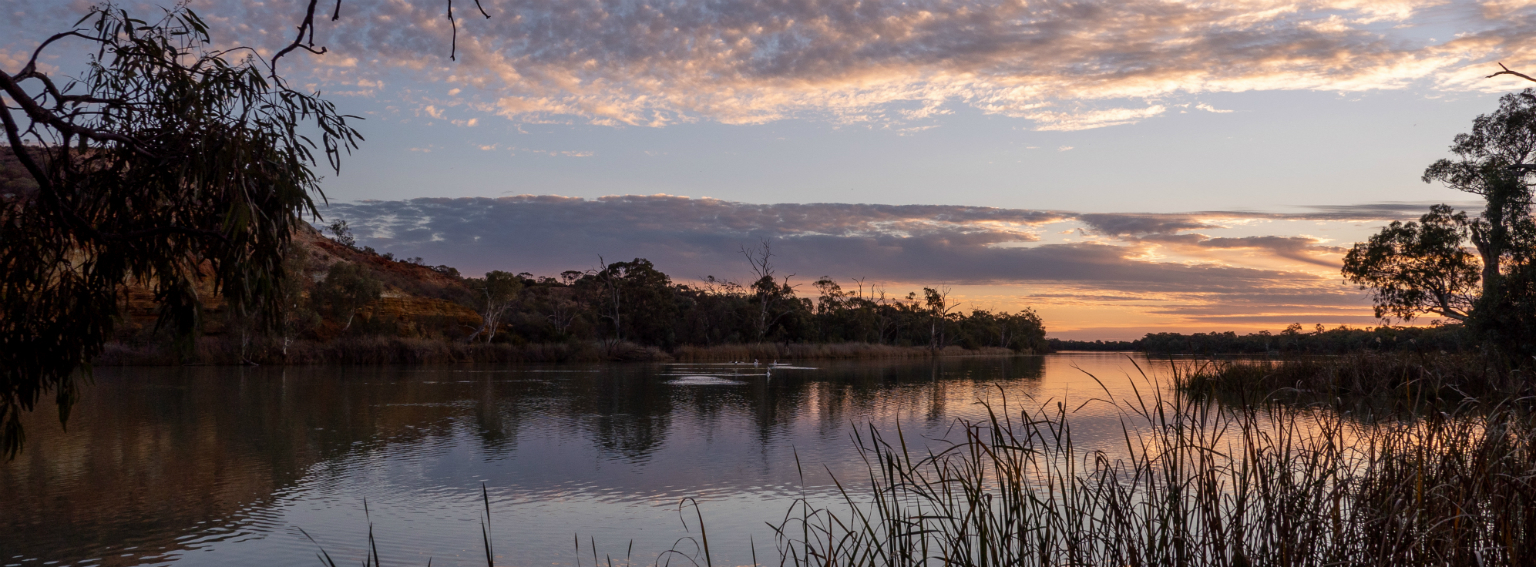 Murray River National Park