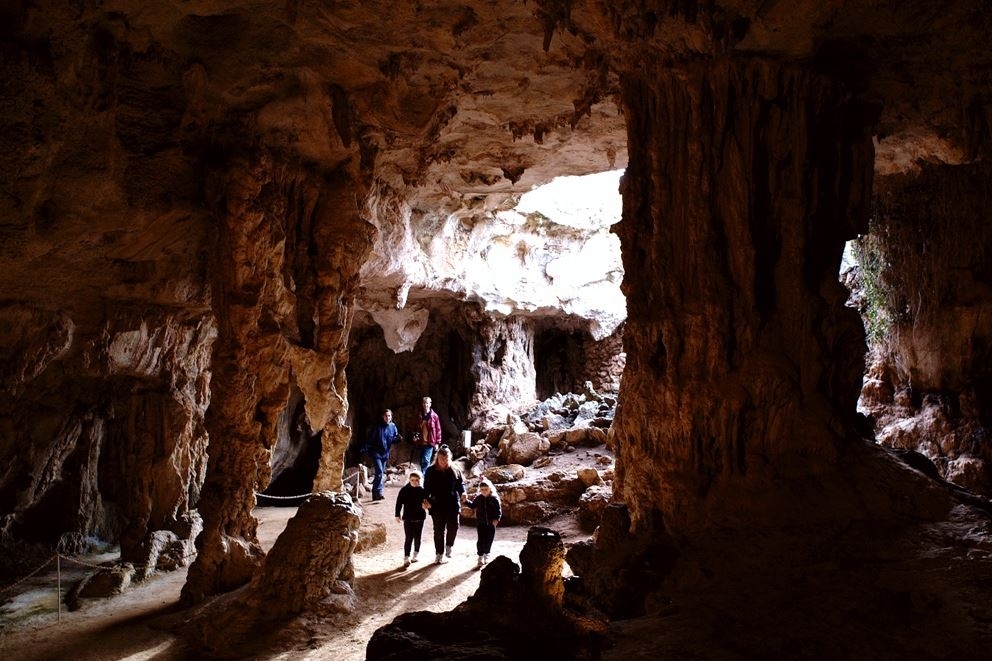 Your guide to the perfect Naracoorte Caves experience