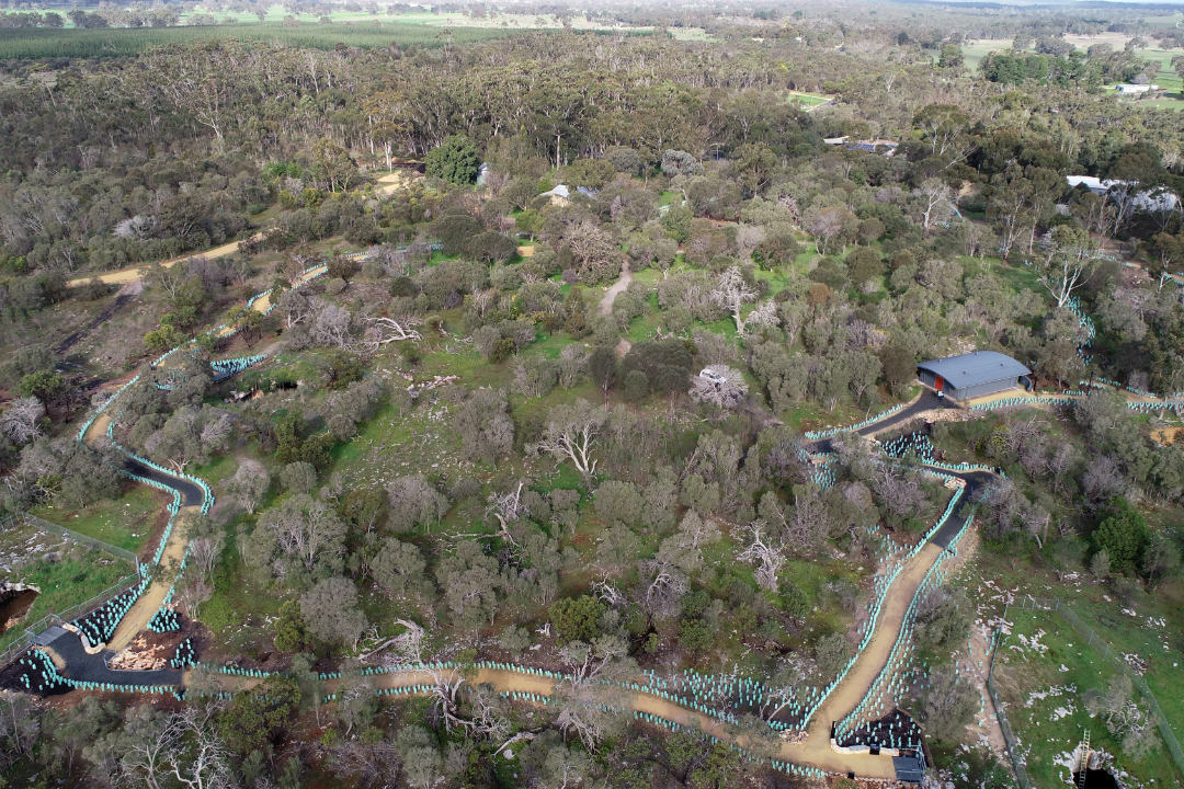 Your guide to visiting the revamped Naracoorte Caves