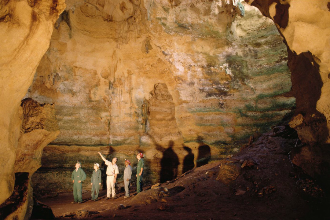 Your guide to visiting the revamped Naracoorte Caves