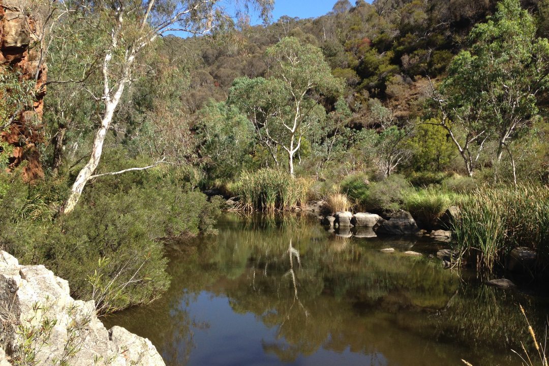 How to spend a day in South Australia’s Onkaparinga River parks