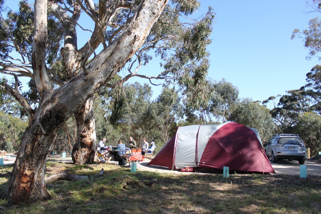 How to spend a day in South Australia’s Onkaparinga River parks