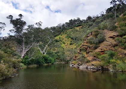 Your guide to camping at Onkaparinga River National Park