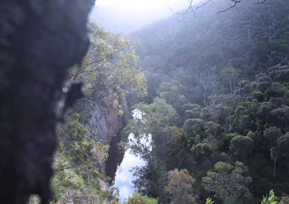 Your guide to camping at Onkaparinga River National Park