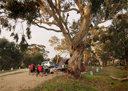 Your guide to camping at Onkaparinga River National Park