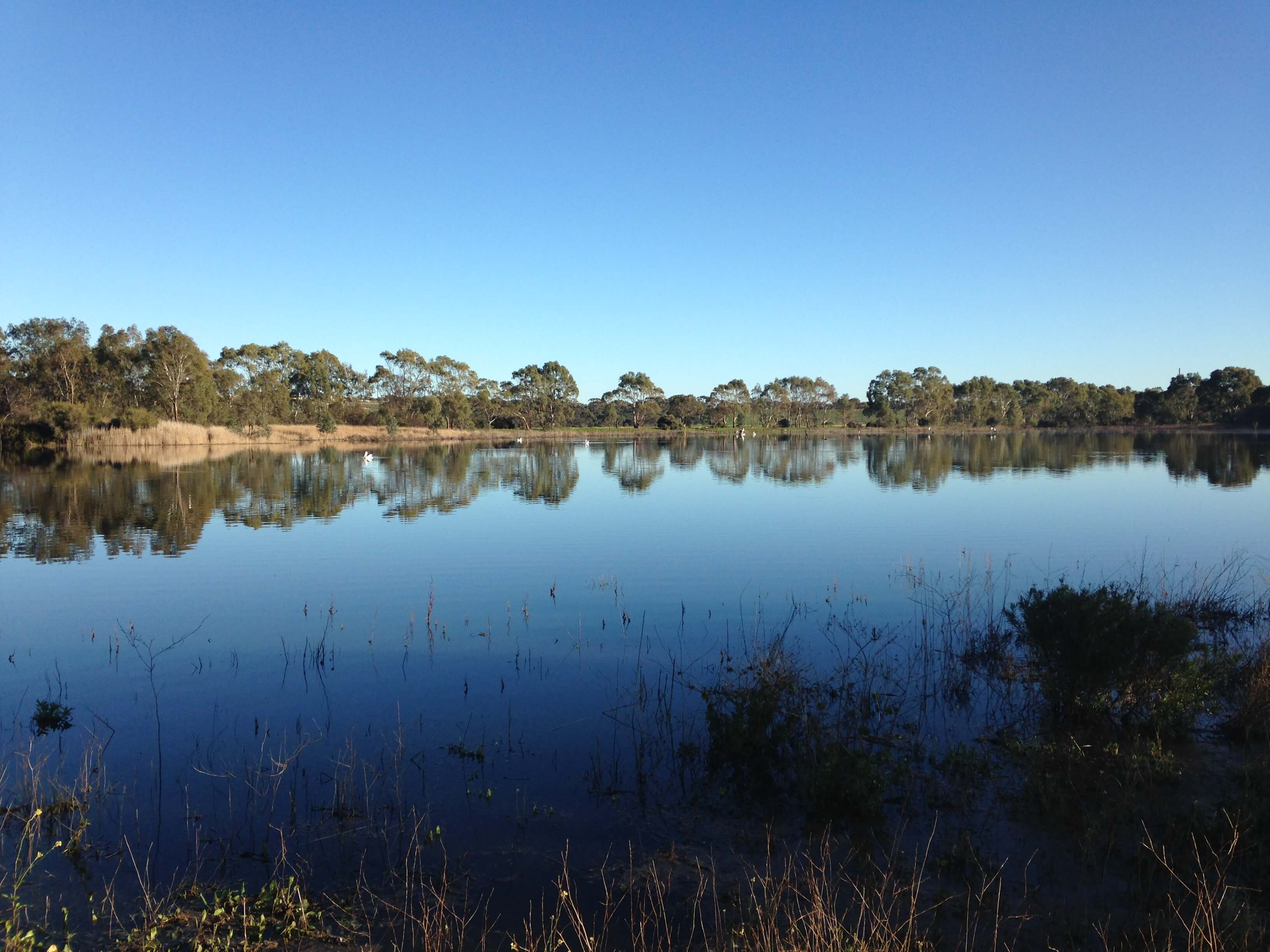 5 treasures in Onkaparinga River parks