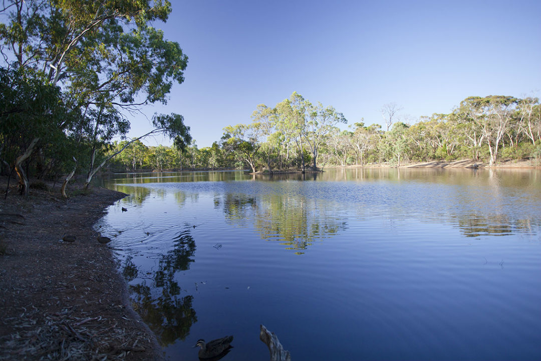 Your guide to camping at Para Wirra Conservation Park