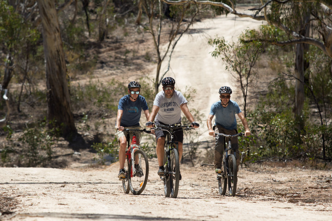 Your guide to camping at Para Wirra Conservation Park