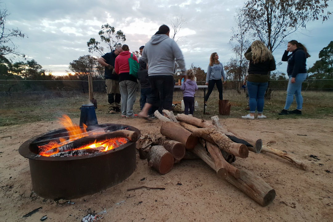 Your guide to camping at Para Wirra Conservation Park